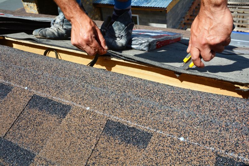 Residential Asphalt Repair detail